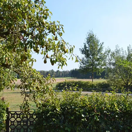 Spacious In And Wellness Area, Cleaning Included Holiday home *